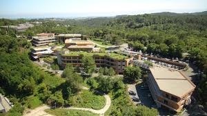 immobilier entreprise sophia antipolis