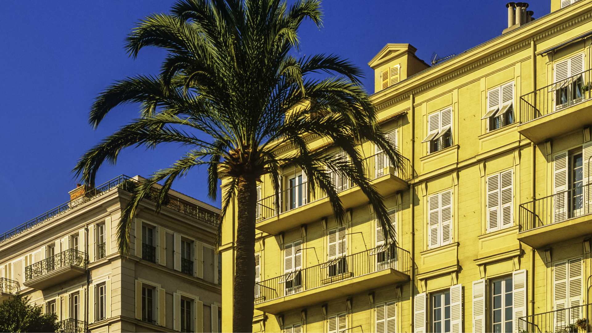 L'architecture moderne de Nice